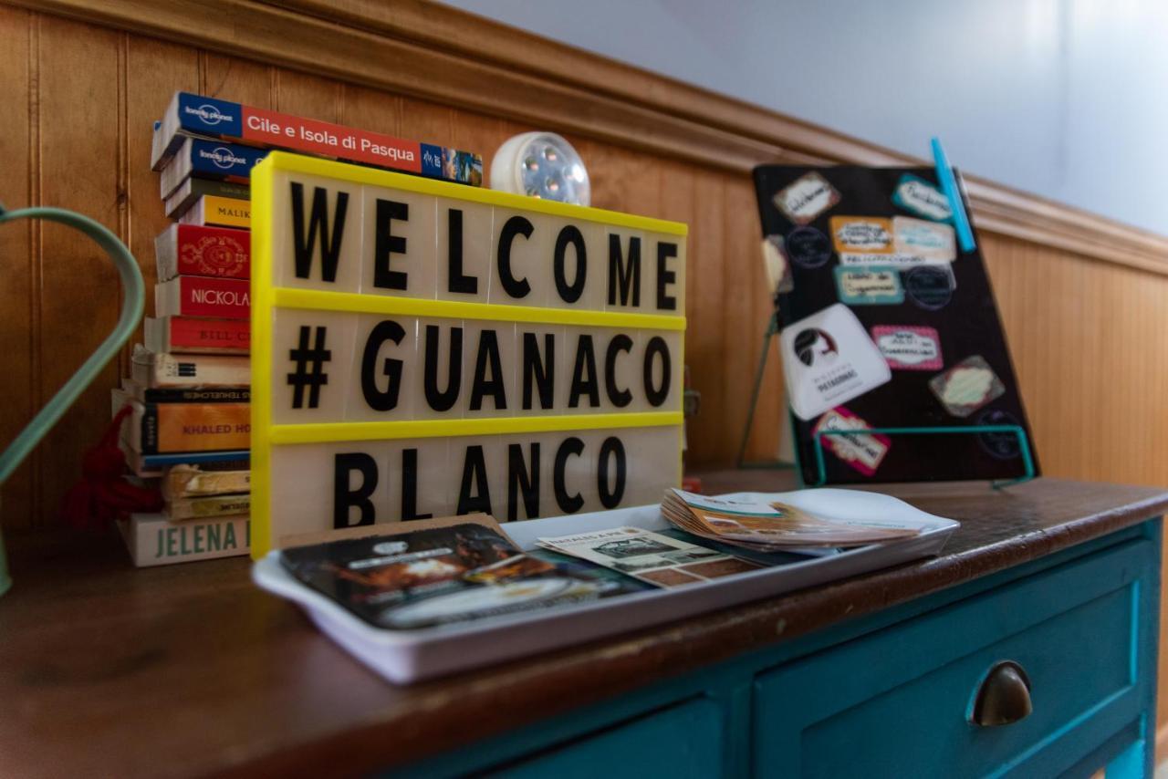 Hostal Guanaco Blanco Puerto Natales Exterior foto